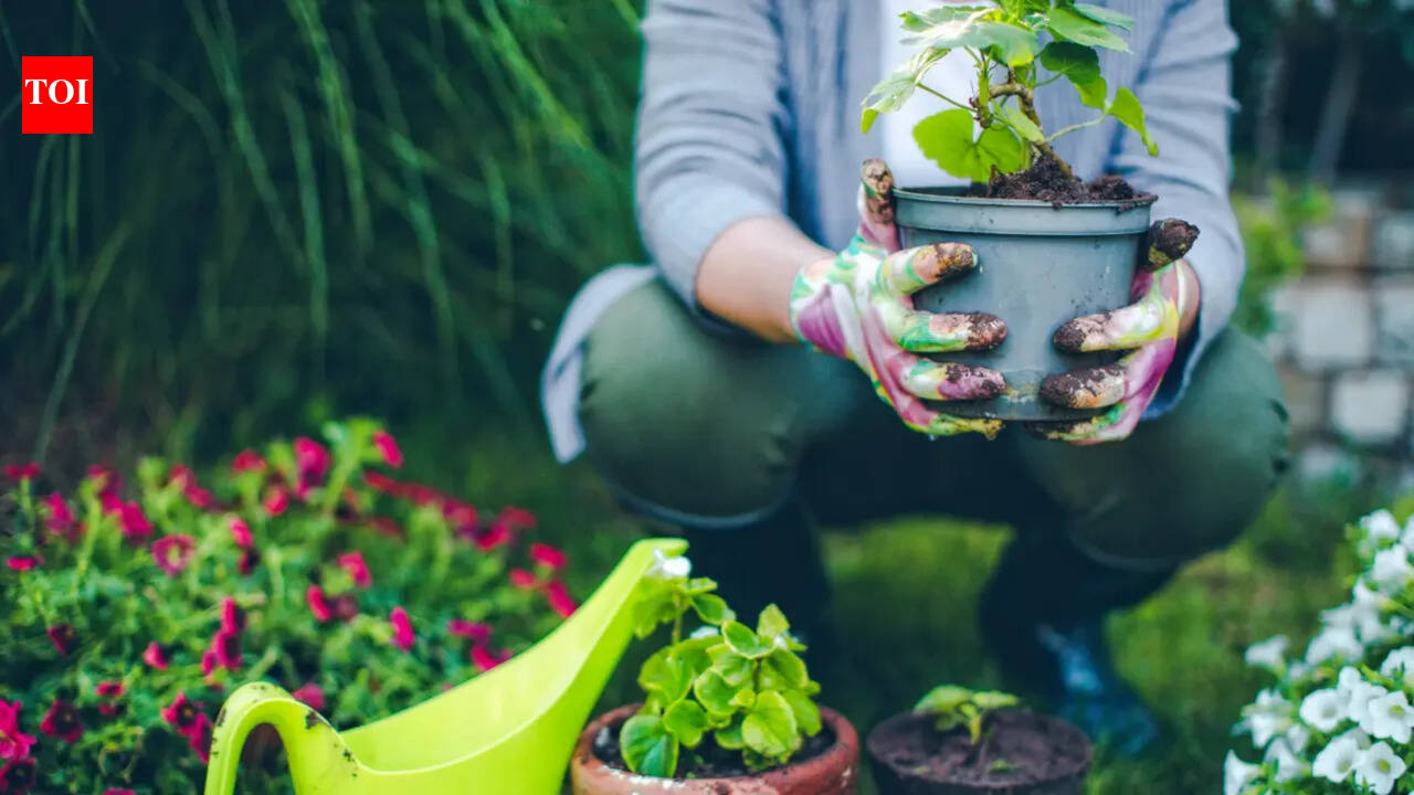 UK gardener of 30 years talks about the biggest mistake in spring gardening