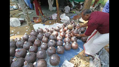 Ban use of gunpowder-based firework celebrations: Kerala Sasthra Sahithya Parishad