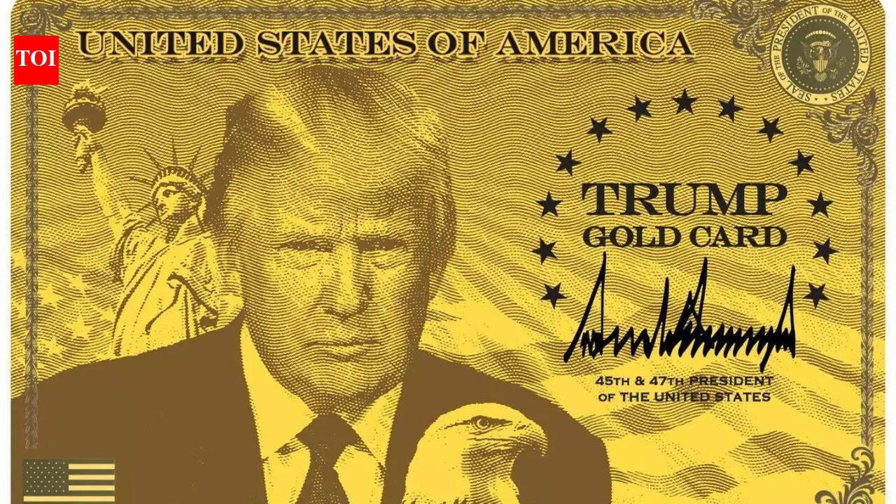 Trump's 'Gold Card' visa: One cleared, hundreds await as $1 million residency plan rolls out