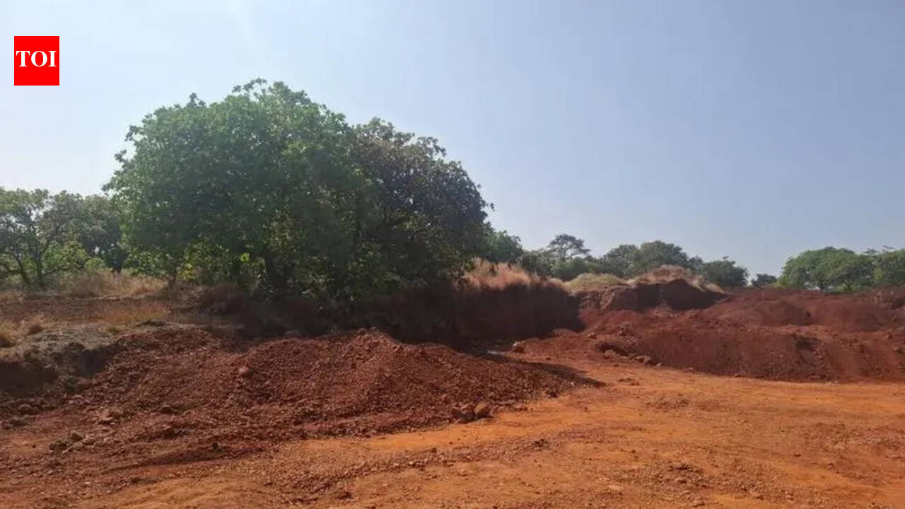 Mines &amp; Geology dept suspends laterite mining on govt land in Belagundi