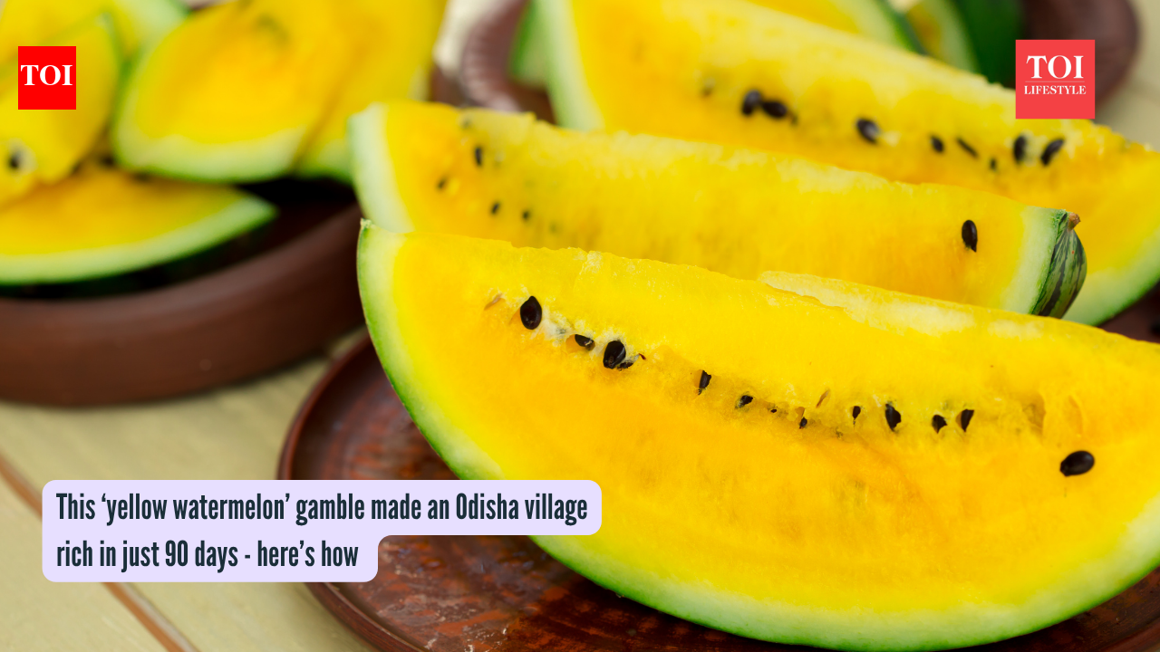This ‘yellow watermelon’ gamble made an Odisha village rich in just 90 days - here’s how