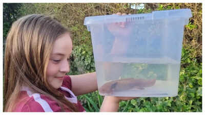 10-Year-old rescues endangered Mexican Axolotl from Welsh river