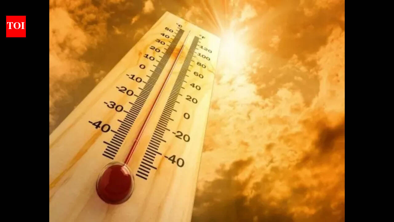Panaji sizzles as ‘feels like’ temperature soars to 47°C