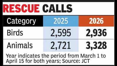 18% spike in bird, animal rescues as mercury soars in Ahmedabad