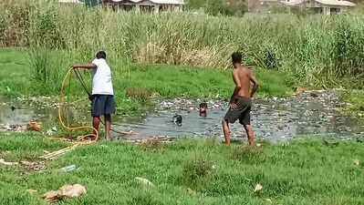 Body of missing man found in Ghaziabad pond, diver drowns during search