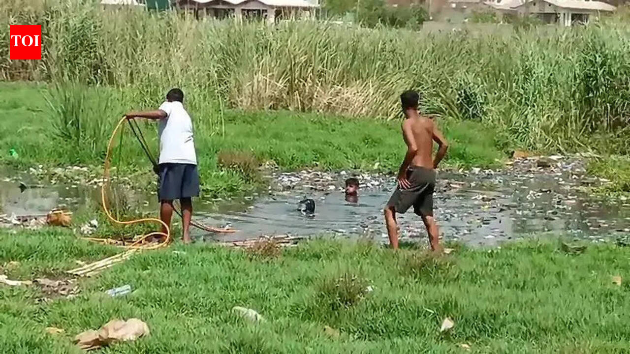 Body of missing man found in Ghaziabad pond, diver drowns during search