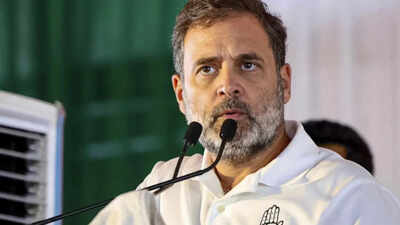 Rahul Gandhi says TMC graft & polarisation created way for BJP to enter West Bengal