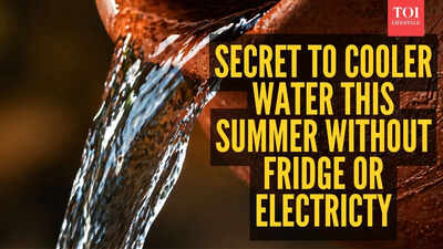 No fridge? 3,000-year-old Indian trick to cool water without electricity goes viral; experts reveal hydration and digestion benefits