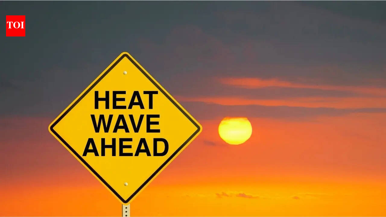 From 44.5°C heat to thunderstorms: IMD forecast for multiple states in India; what travellers need to know