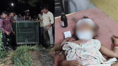 Gujarat man fights off leopard with bare hands to save daughter from jaws of death