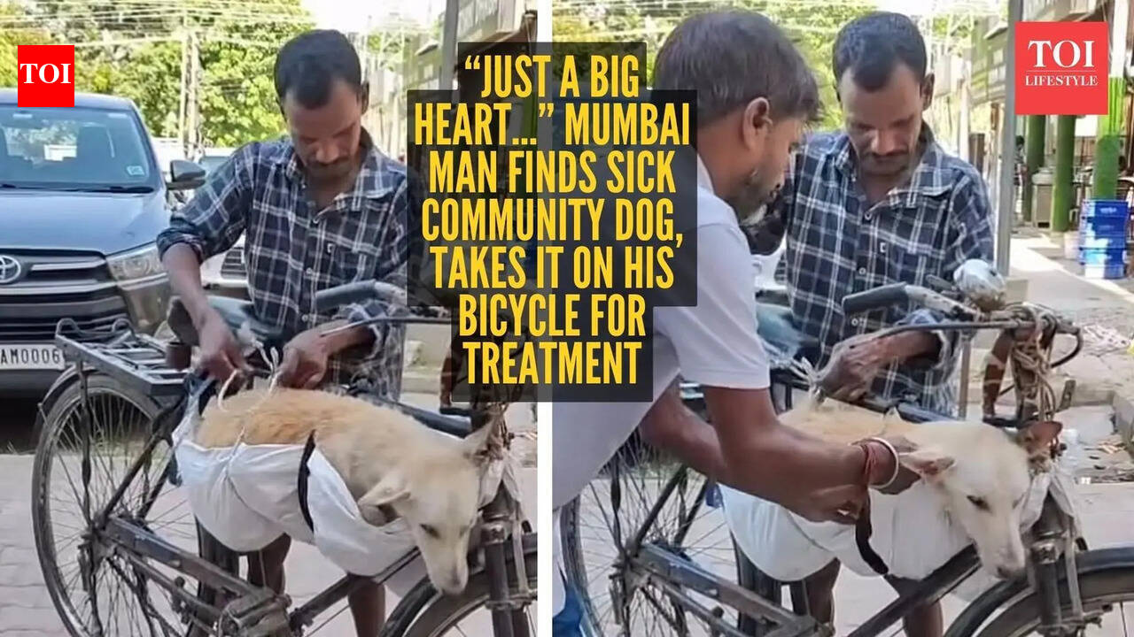 'Just a big heart…' Mumbai man finds sick community dog, takes it on his bicycle for treatment; internet in tears