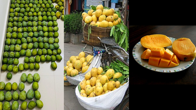 Lesser-known mango varieties in India beyond Alphonso and how they differ in taste and texture