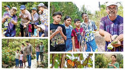 Butterflies are drawing Mumbaikars to slow Sundays