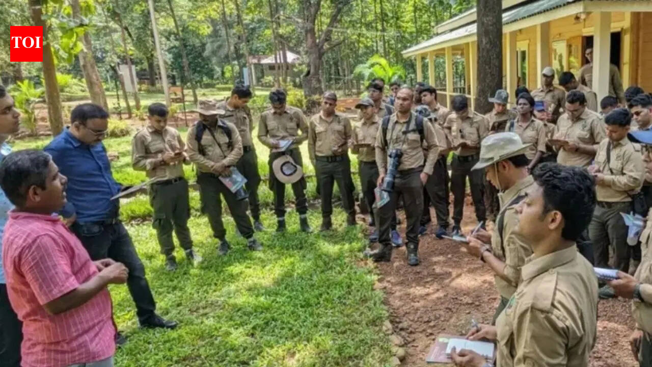 UPSSSC Forest Guard exam 2026: 708 vacancies announced, check complete details here