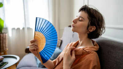 AC vs Fan in a heatwave: What actually keeps you safe when temperatures soar?