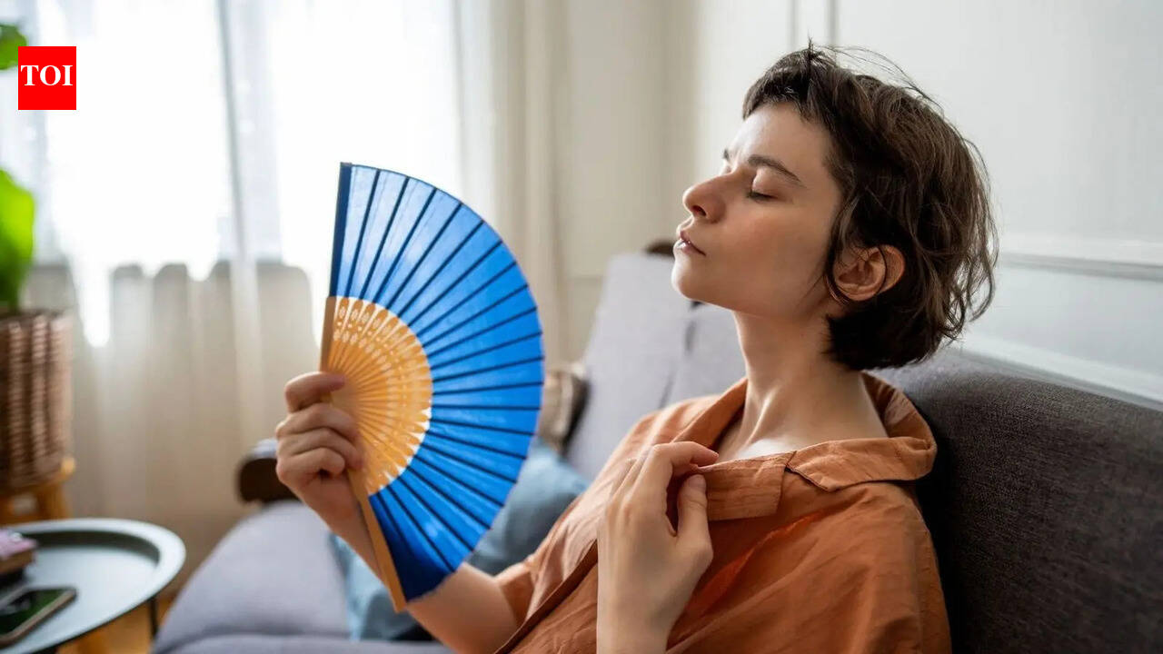 AC vs Fan in a heatwave: What actually keeps you safe when temperatures soar?
