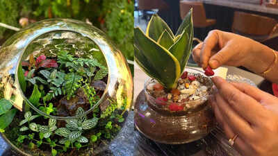 Terrarium workshops in Hyderabad turn gardening into a calming urban hobby