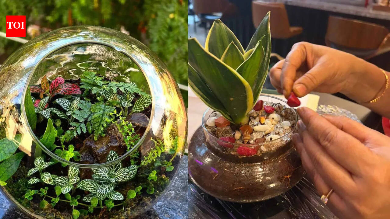 Terrarium workshops in Hyderabad turn gardening into a calming urban hobby