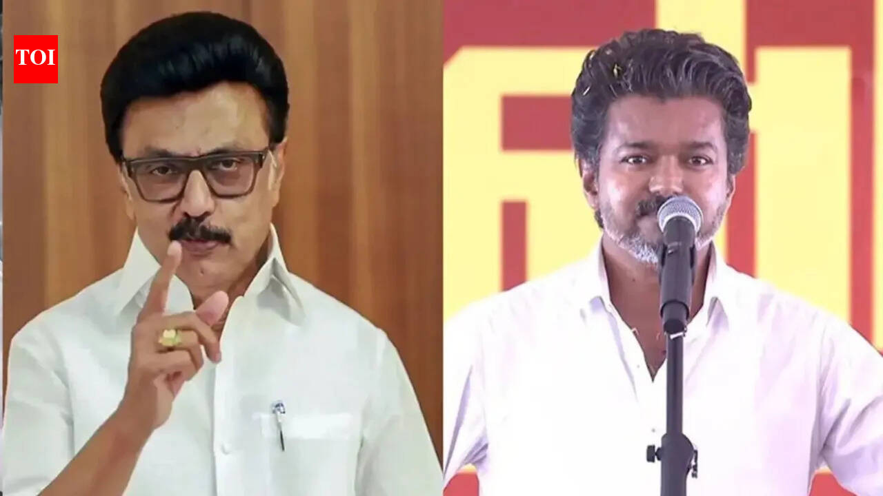 DMK, TVK cadres clash in several places in Tamil Nadu during elections