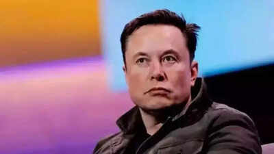 Tesla CEO Elon Musk says ‘private sector accurately values labor’ after viral post on job loss and pay gap