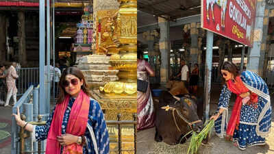 Shamita Shetty seeks blessings at Tirupati and feeds cows; Shilpa Shetty reacts, ‘You are blessed’