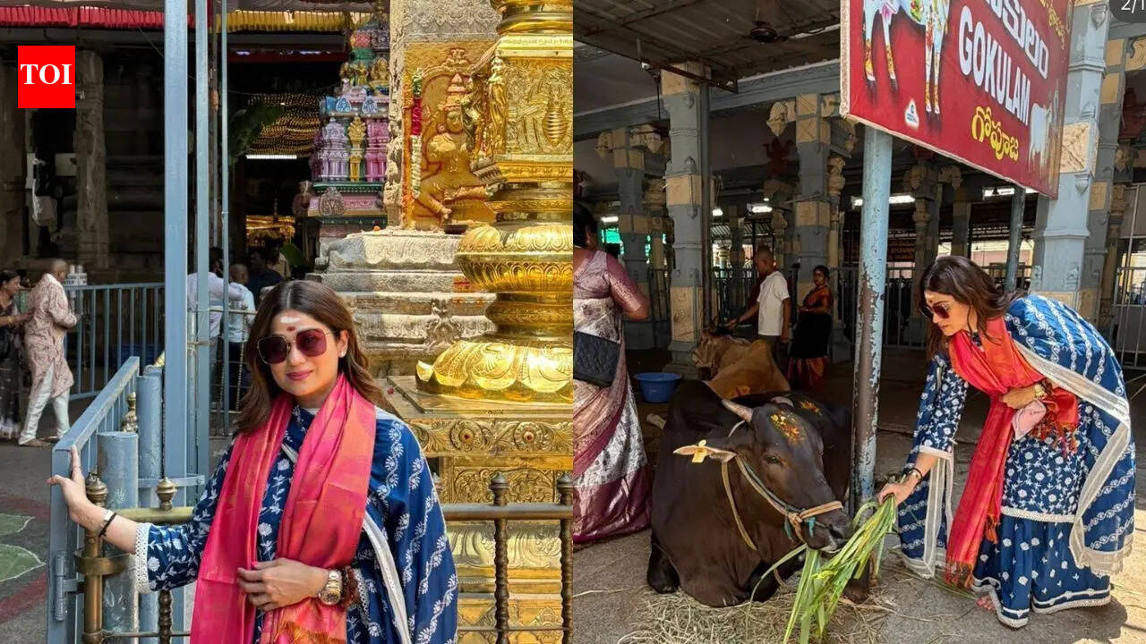 Shamita Shetty seeks blessings at Tirupati and feeds cows; Shilpa Shetty reacts, ‘You are blessed’