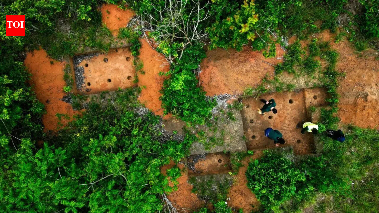 Archaeological digs in Amazon provide clues about Indigenous inhabitants before colonization