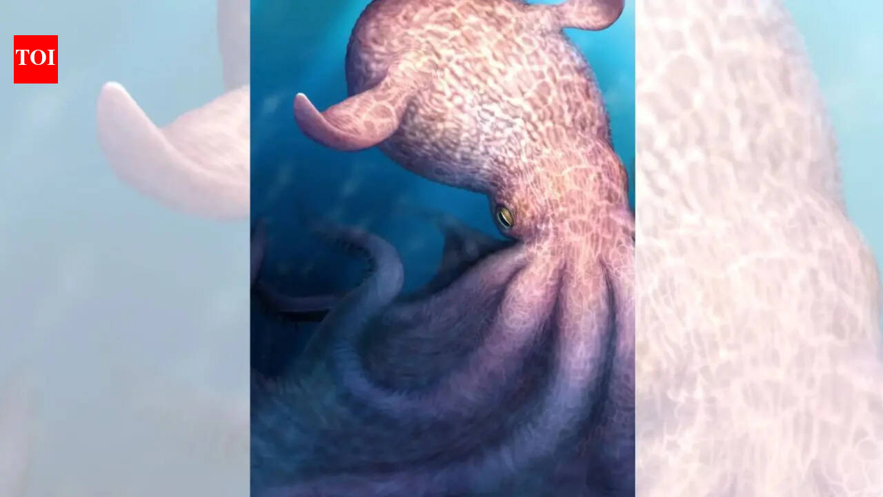A massive kraken-like octopus may have prowled the seas during the age of dinosaurs