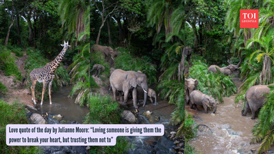 Hidden camera trap in Maasai Mara reveals a secret wildlife highway 'river crossing' no one knew existed