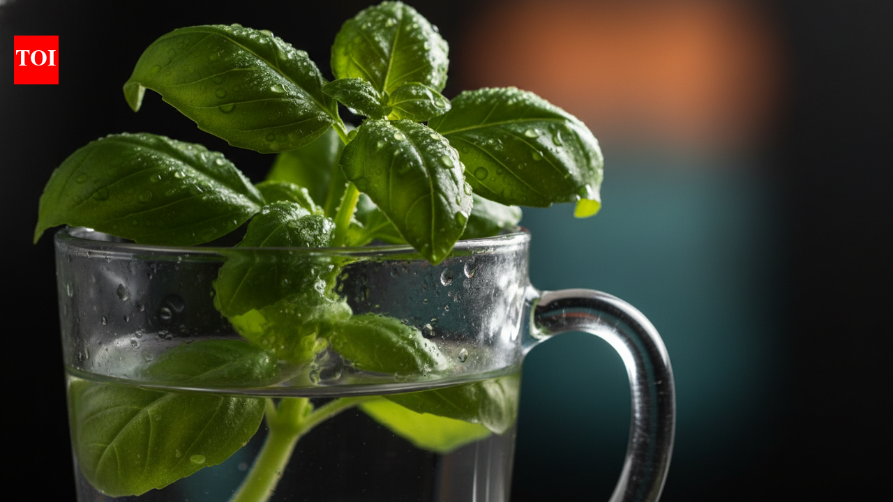The two simple habits that will finally keep your basil alive