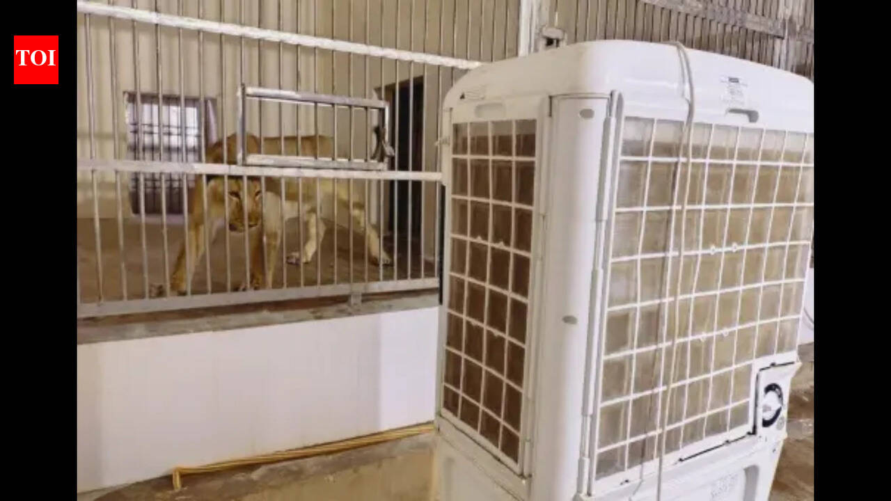 Patna zoo steps up measures to protect animals from scorching summer