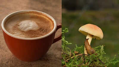 Is Mushroom Coffee the secret to effortless weight loss?