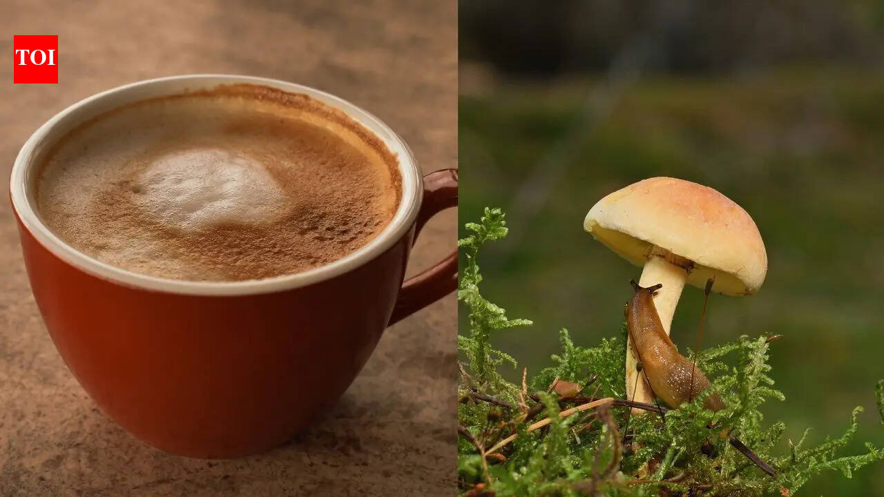 Is Mushroom Coffee the secret to effortless weight loss?