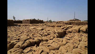 Only 29% of procured wheat cleared from mandis