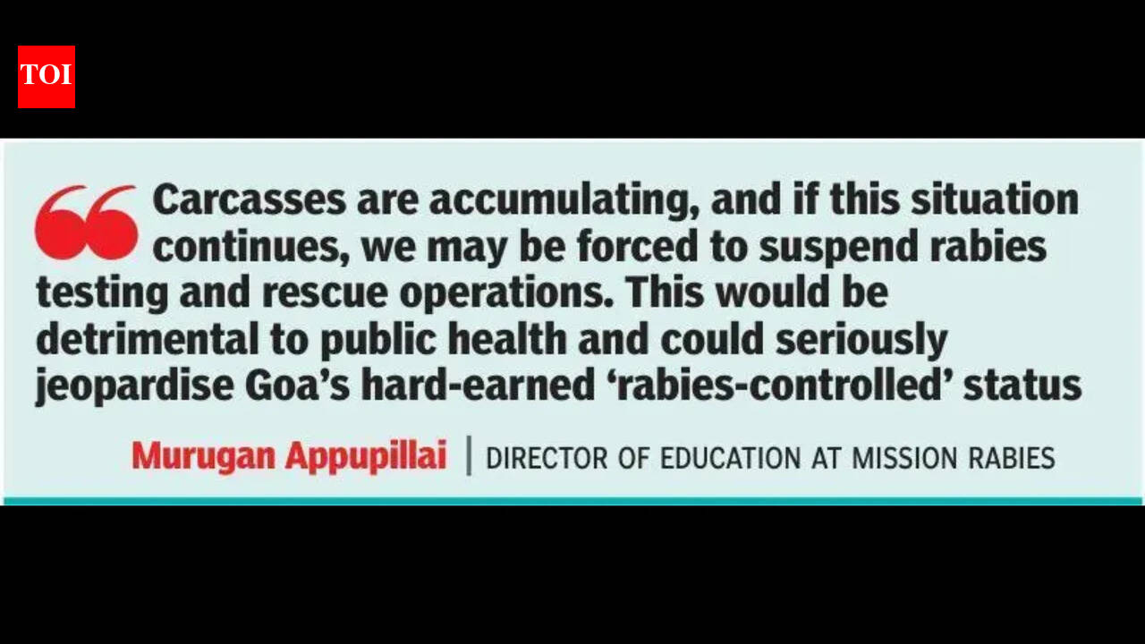 Carcass disposal crisis puts Goa’s ‘rabies-controlled’ status in jeopardy