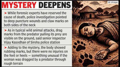 Mysterious death of woman in forest sparks debate on man-animal conflict, cops claim leopard kill