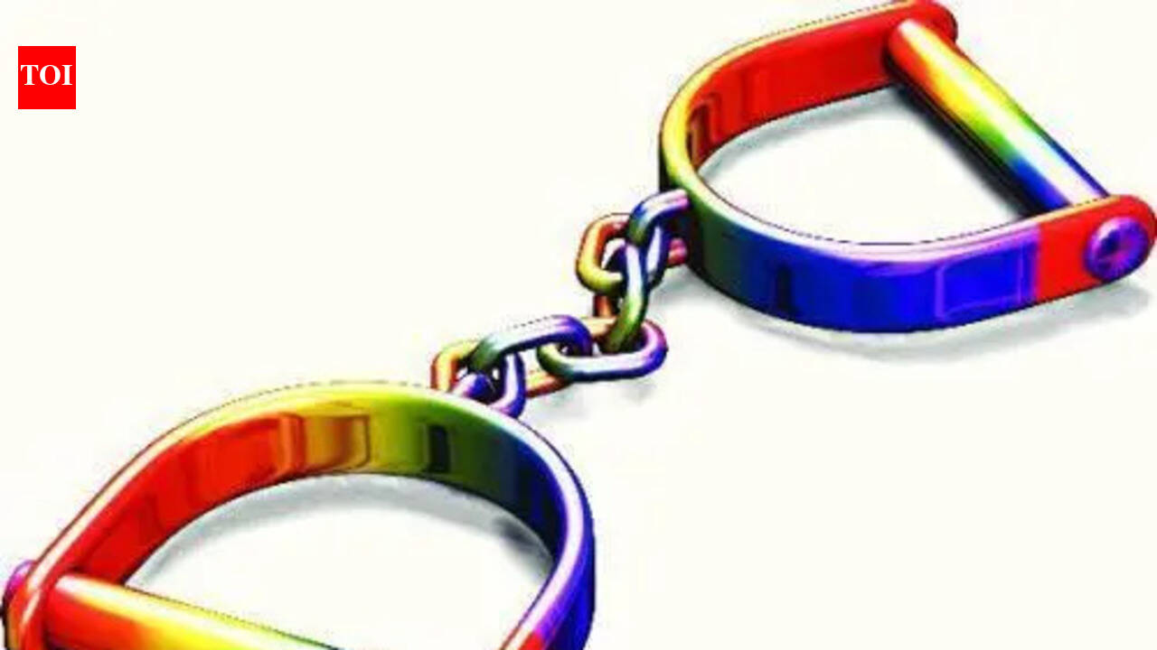 Two geologists held in graft case