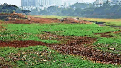 Rising temperatures dry up lakes in Bengaluru