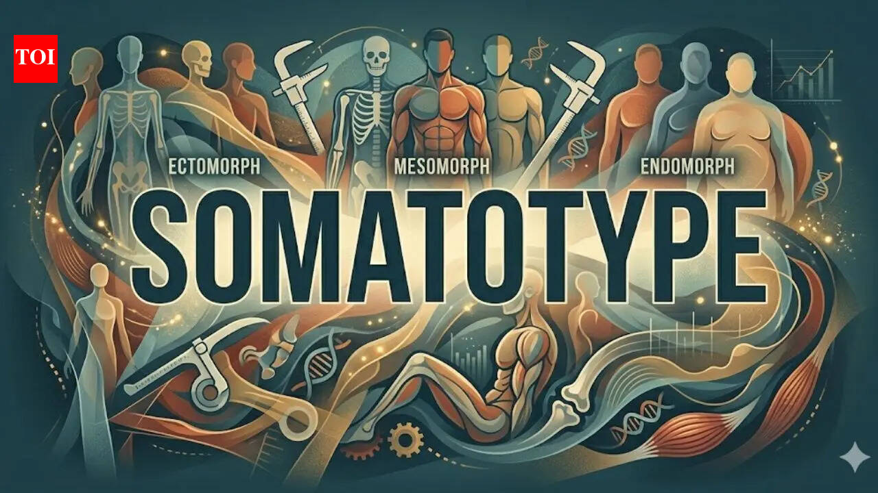 Word of the day: Somatotype