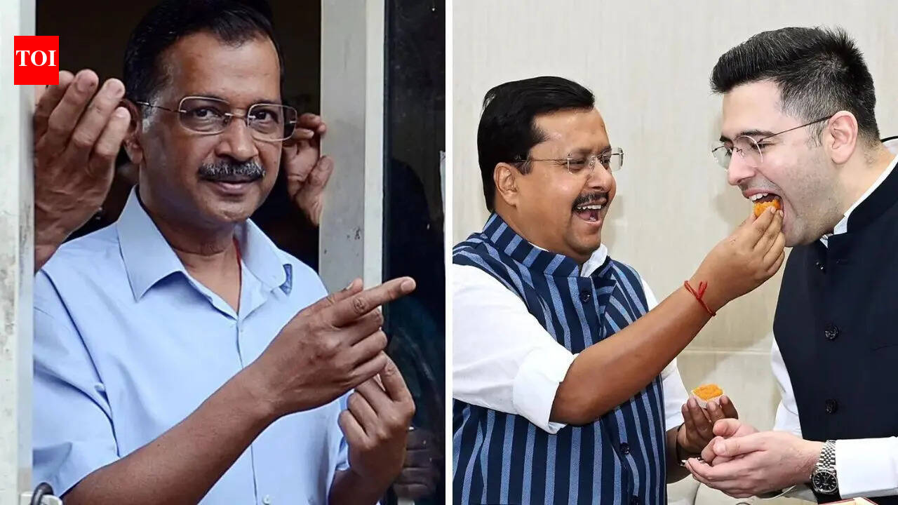 Raghav Chadha-led exodus jolts AAP; party races to recalibrate strategy: What next?