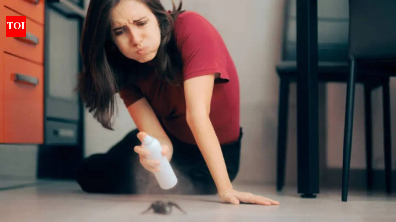 How to get rid of ants naturally