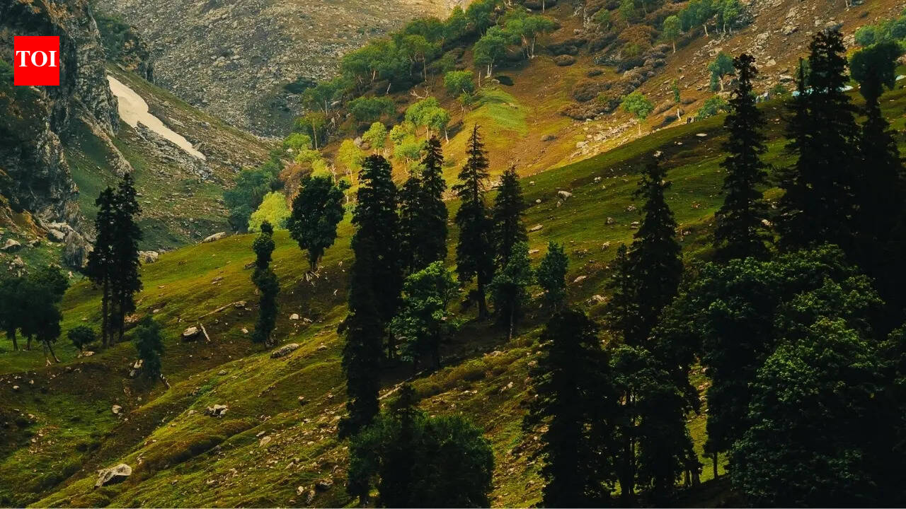 Staying in that room in Dharamshla changed my entire trip: An experience I will never forget