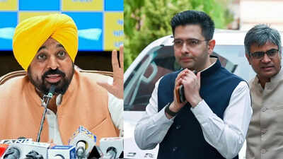  Bhagwant Mann slams defected AAP leaders in cryptic analogy