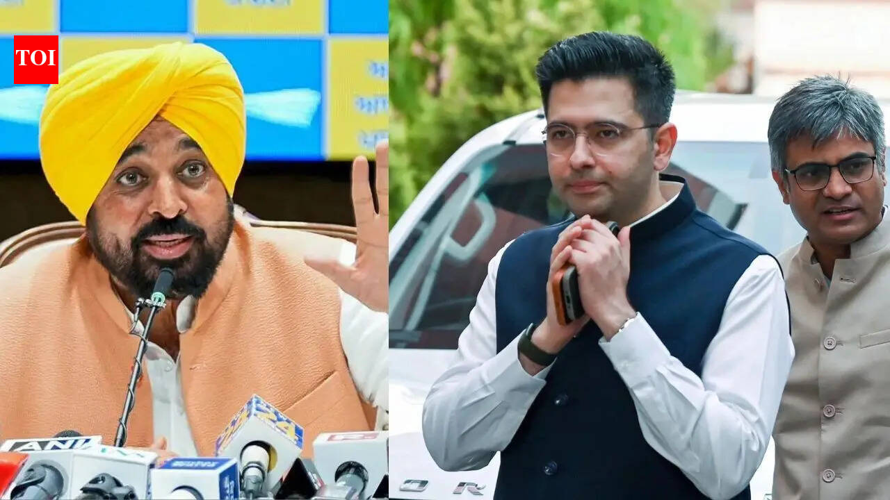 'Ginger, garlic cumin ...': Bhagwant Mann slams defected AAP leaders in cryptic analogy