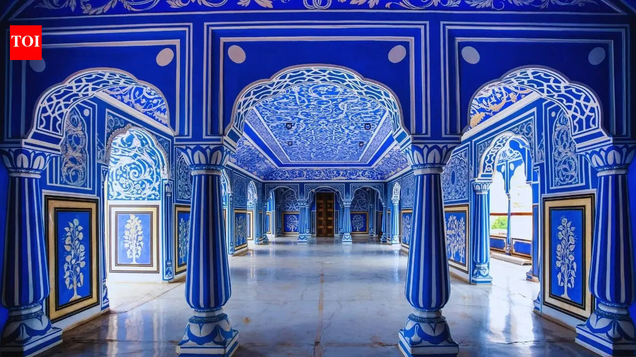 After Trump-linked ‘hellhole’ controversy, viral video of young Americans praising India strikes emotional chord online