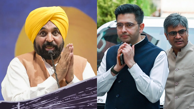 Punjab CM Bhagwant Mann seeks President Murmu's intervention after Raghav Chadha-led AAP exodus in Rajya Sabha