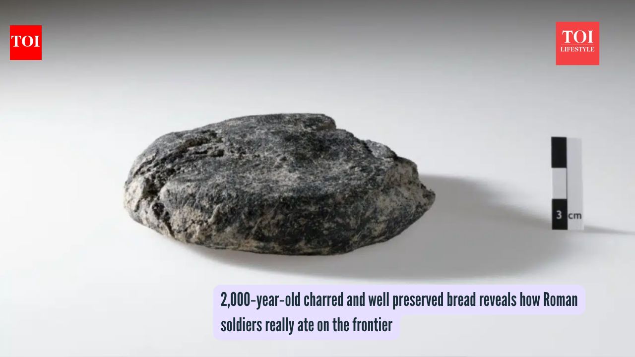 2,000‑year‑old charred and well preserved bread reveals how Roman soldiers really ate on the frontier