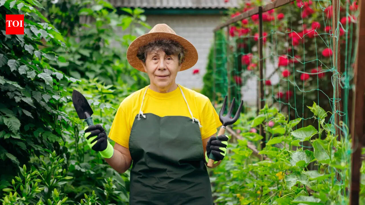 What each gardening tool is actually designed for