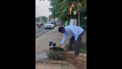 3 truck-mounted tankers to fill water vats for stray animals this summer