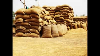 Wheat procurement set to resume in Buxar